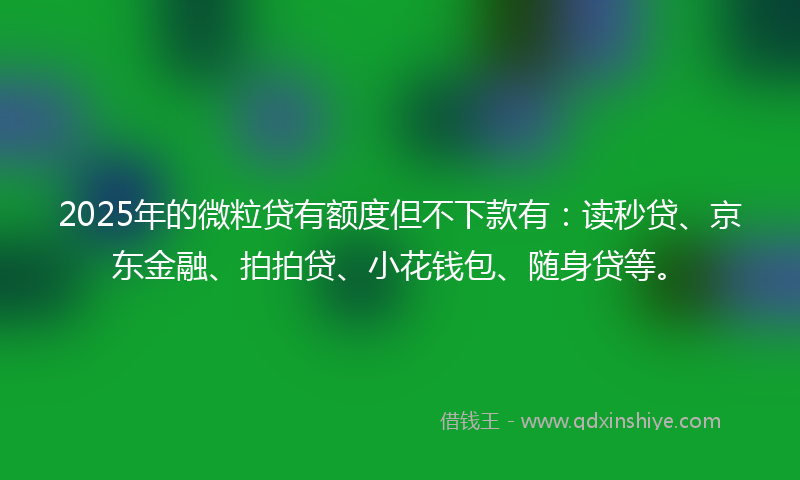 2025年的微粒贷有额度但不下款有：读秒贷、京东金融、拍拍贷、小花钱包、随身贷等。