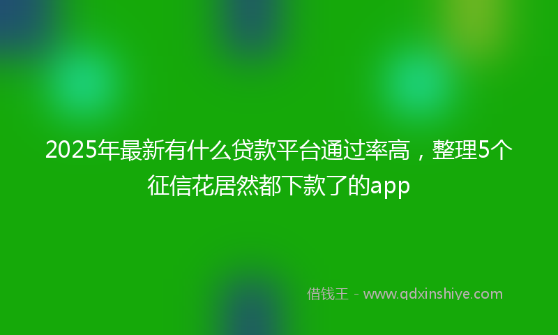 2025年最新有什么贷款平台通过率高，整理5个征信花居然都下款了的app