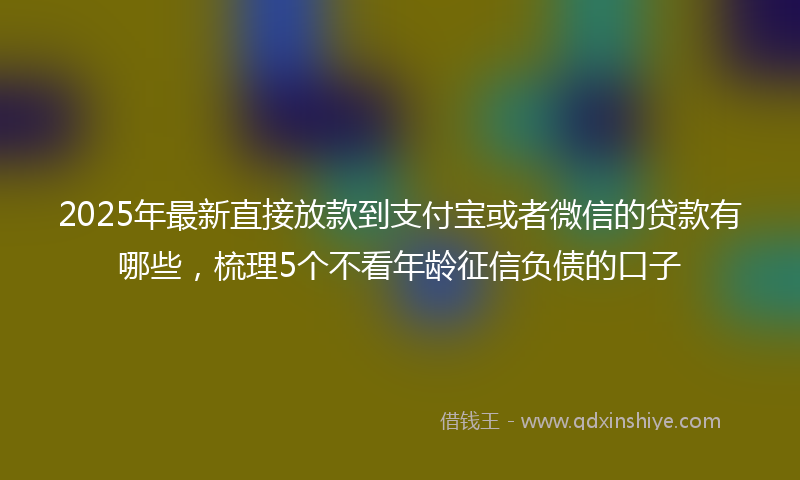 2025年最新直接放款到支付宝或者微信的贷款有哪些，梳理5个不看年龄征信负债的口子