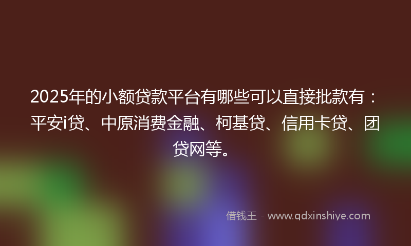 2025年的小额贷款平台有哪些可以直接批款有：平安i贷、中原消费金融、柯基贷、信用卡贷、团贷网等。