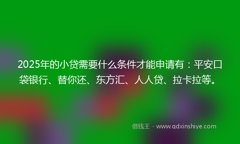 2025年的小贷需要什么条件才能申请有：平安口袋银行、替你还、东方汇、人人贷、拉卡拉等。