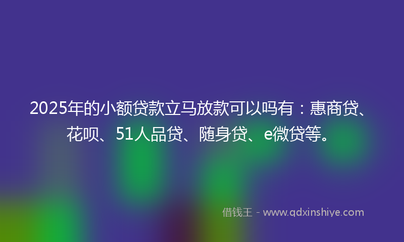 2025年的小额贷款立马放款可以吗有：惠商贷、花呗、51人品贷、随身贷、e微贷等。