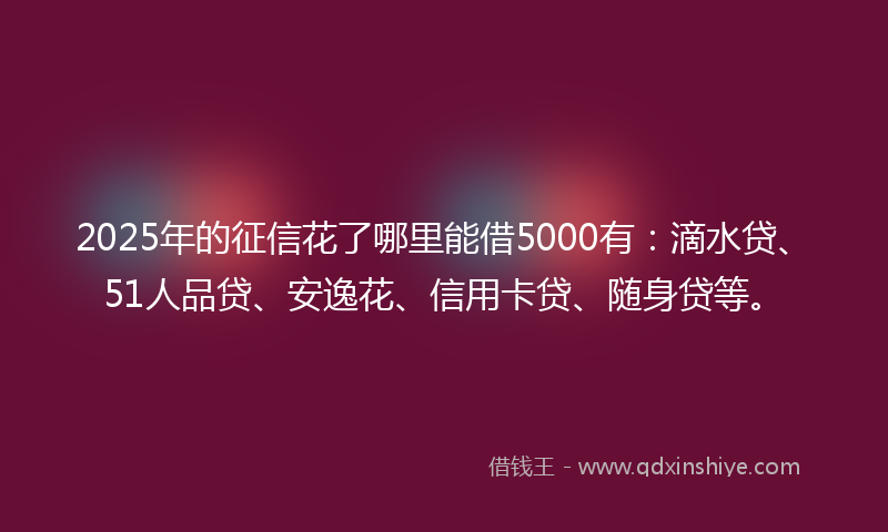2025年的征信花了哪里能借5000有：滴水贷、51人品贷、安逸花、信用卡贷、随身贷等。