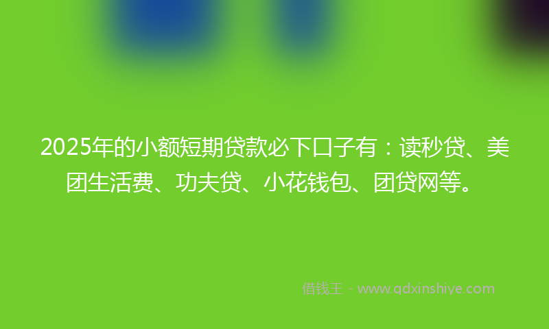 2025年的小额短期贷款必下口子有：读秒贷、美团生活费、功夫贷、小花钱包、团贷网等。