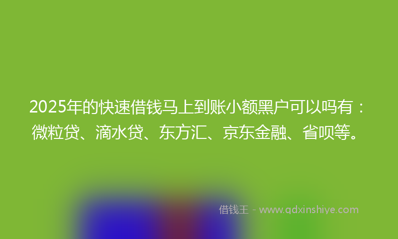 2025年的快速借钱马上到账小额黑户可以吗有：微粒贷、滴水贷、东方汇、京东金融、省呗等。