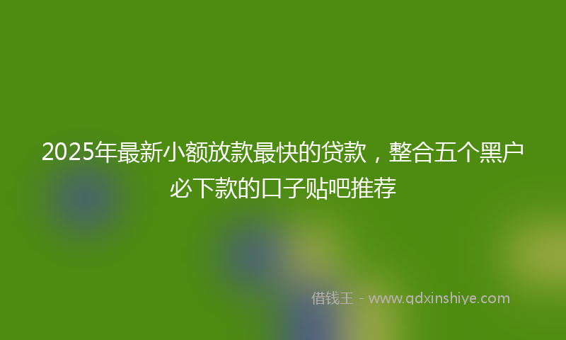 2025年最新小额放款最快的贷款，整合五个黑户必下款的口子贴吧推荐