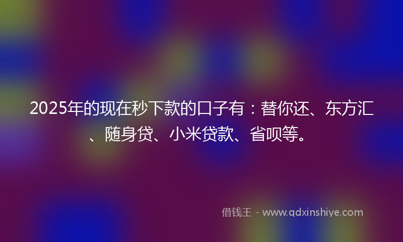 2025年的现在秒下款的口子有：替你还、东方汇、随身贷、小米贷款、省呗等。