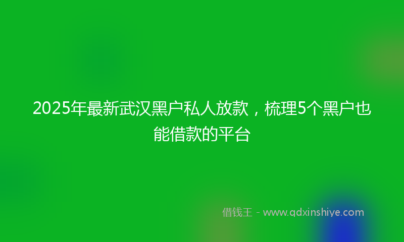 2025年最新武汉黑户私人放款，梳理5个黑户也能借款的平台