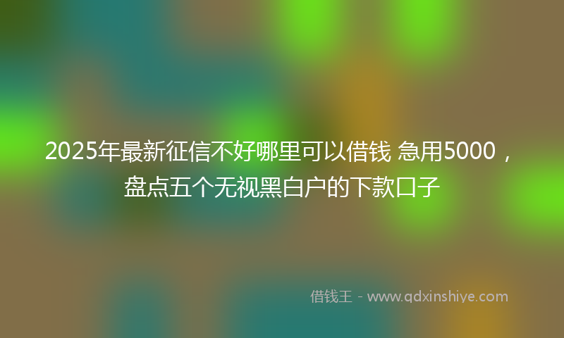 2025年最新征信不好哪里可以借钱 急用5000，盘点五个无视黑白户的下款口子