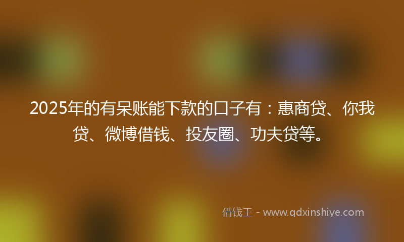 2025年的有呆账能下款的口子有：惠商贷、你我贷、微博借钱、投友圈、功夫贷等。