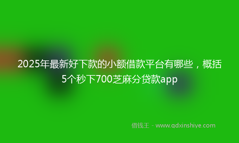 2025年最新好下款的小额借款平台有哪些，概括5个秒下700芝麻分贷款app