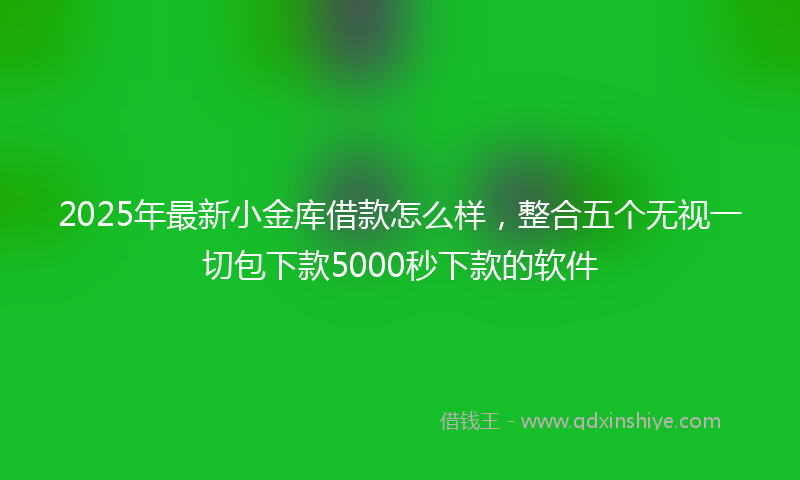 2025年最新小金库借款怎么样，整合五个无视一切包下款5000秒下款的软件