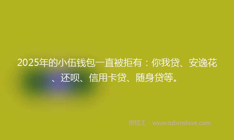 2025年的小伍钱包一直被拒有：你我贷、安逸花、还呗、信用卡贷、随身贷等。