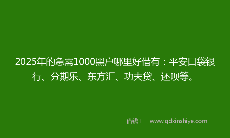 2025年的急需1000黑户哪里好借有：平安口袋银行、分期乐、东方汇、功夫贷、还呗等。