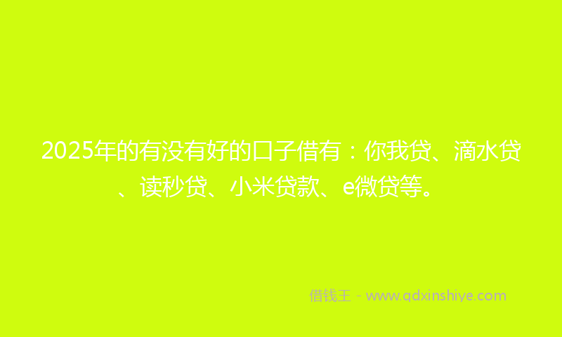 2025年的有没有好的口子借有：你我贷、滴水贷、读秒贷、小米贷款、e微贷等。