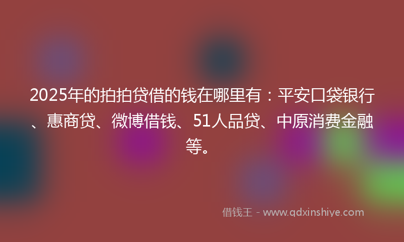 2025年的拍拍贷借的钱在哪里有：平安口袋银行、惠商贷、微博借钱、51人品贷、中原消费金融等。