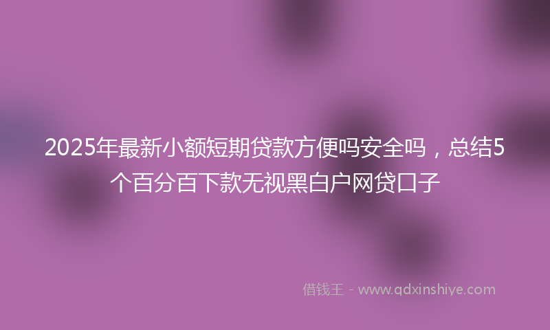 2025年最新小额短期贷款方便吗安全吗，总结5个百分百下款无视黑白户网贷口子