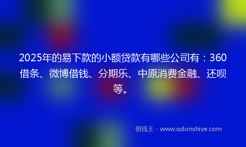 2025年的易下款的小额贷款有哪些公司有：360借条、微博借钱、分期乐、中原消费金融、还呗等。