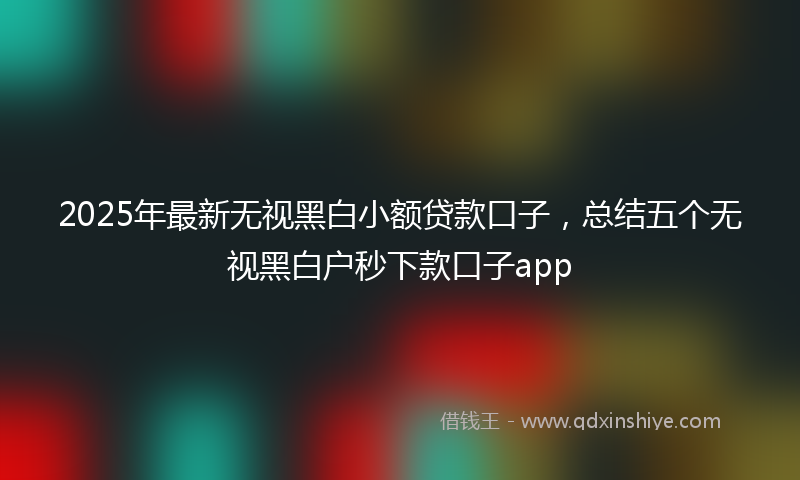 2025年最新无视黑白小额贷款口子，总结五个无视黑白户秒下款口子app