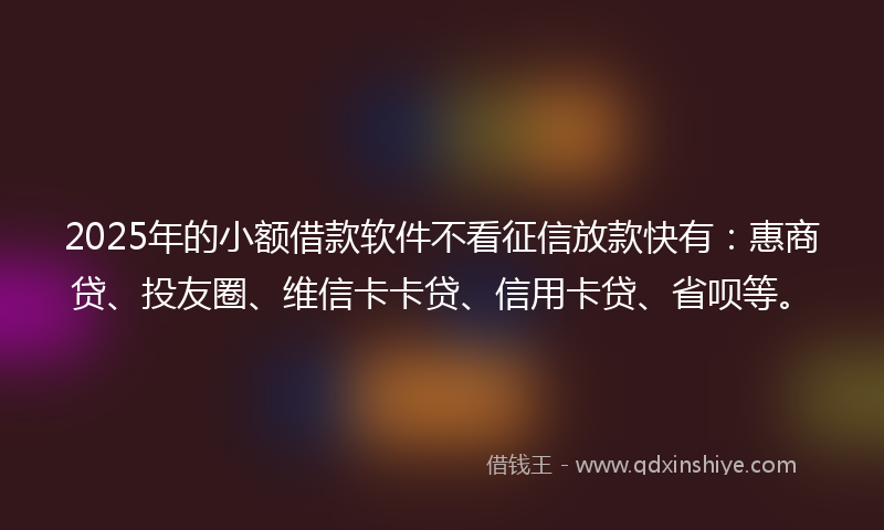 2025年的小额借款软件不看征信放款快有：惠商贷、投友圈、维信卡卡贷、信用卡贷、省呗等。