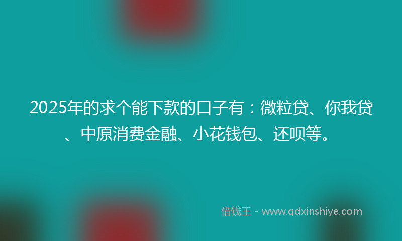 2025年的求个能下款的口子有：微粒贷、你我贷、中原消费金融、小花钱包、还呗等。