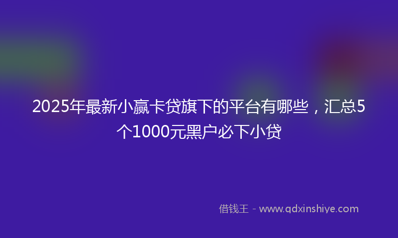 2025年最新小赢卡贷旗下的平台有哪些，汇总5个1000元黑户必下小贷