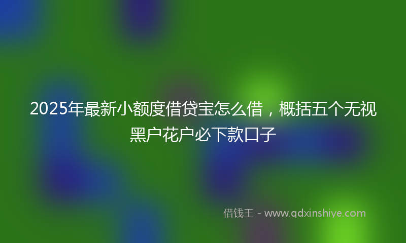 2025年最新小额度借贷宝怎么借，概括五个无视黑户花户必下款口子
