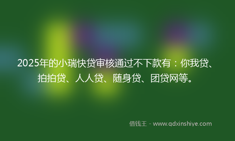 2025年的小瑞快贷审核通过不下款有：你我贷、拍拍贷、人人贷、随身贷、团贷网等。