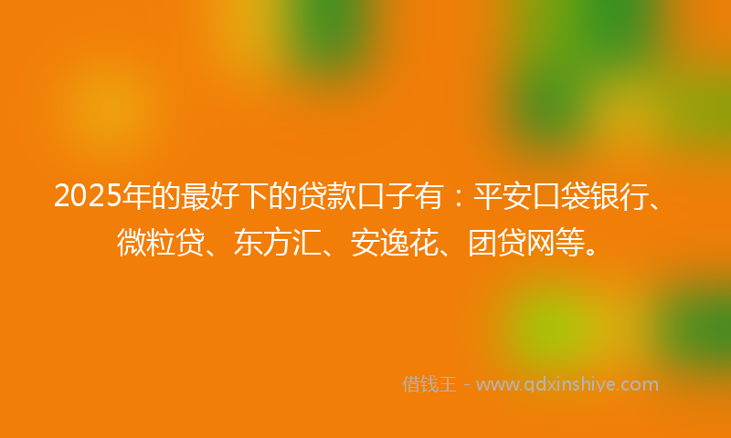 2025年的最好下的贷款口子有：平安口袋银行、微粒贷、东方汇、安逸花、团贷网等。