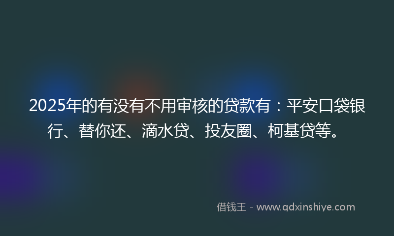 2025年的有没有不用审核的贷款有：平安口袋银行、替你还、滴水贷、投友圈、柯基贷等。