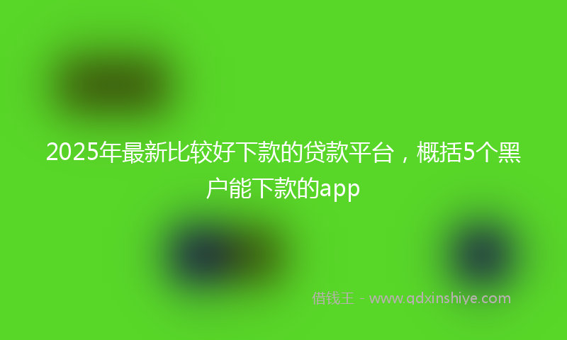2025年最新比较好下款的贷款平台，概括5个黑户能下款的app