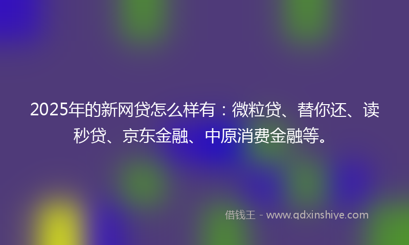 2025年的新网贷怎么样有：微粒贷、替你还、读秒贷、京东金融、中原消费金融等。