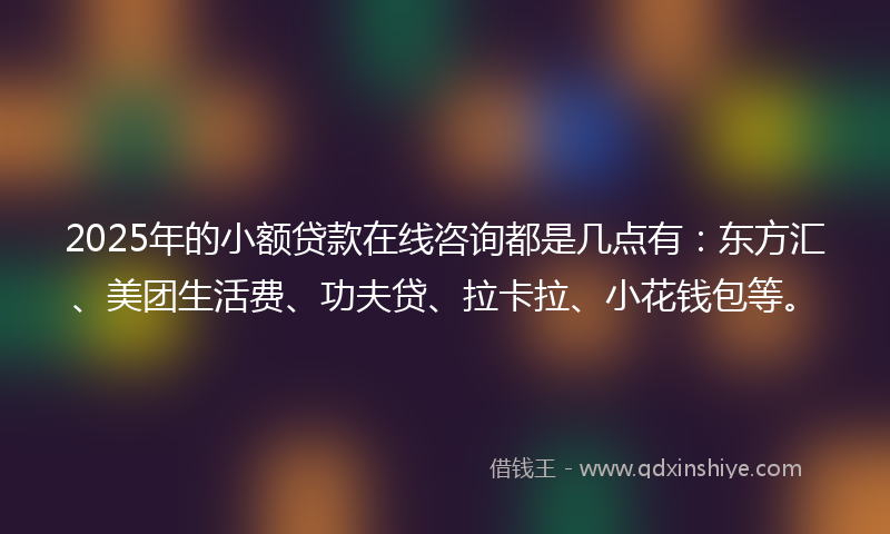 2025年的小额贷款在线咨询都是几点有：东方汇、美团生活费、功夫贷、拉卡拉、小花钱包等。