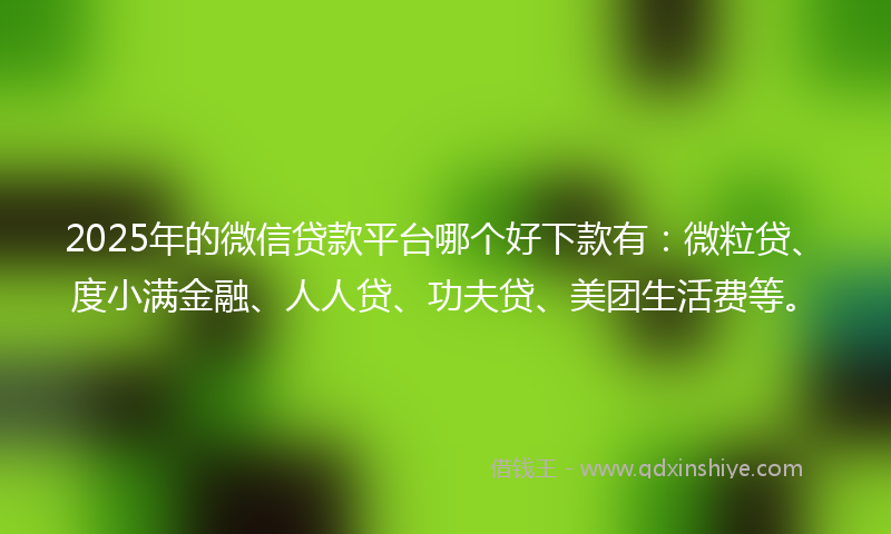 2025年的微信贷款平台哪个好下款有：微粒贷、度小满金融、人人贷、功夫贷、美团生活费等。
