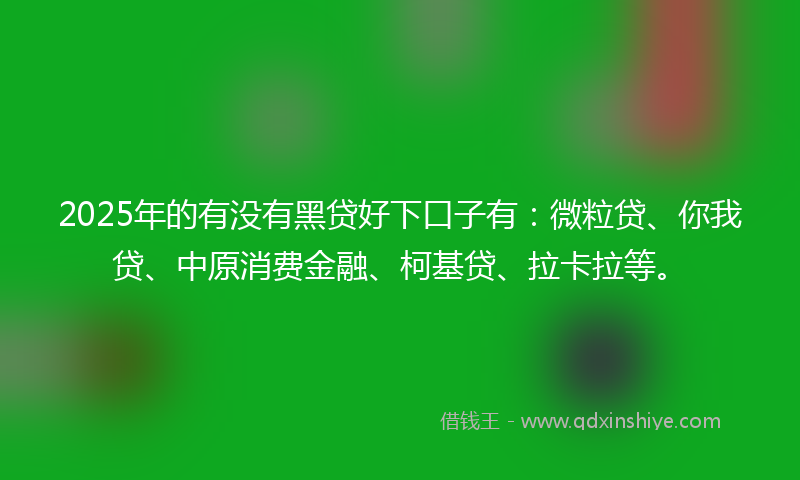 2025年的有没有黑贷好下口子有：微粒贷、你我贷、中原消费金融、柯基贷、拉卡拉等。