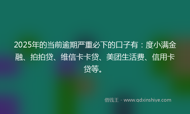 2025年的当前逾期严重必下的口子有：度小满金融、拍拍贷、维信卡卡贷、美团生活费、信用卡贷等。