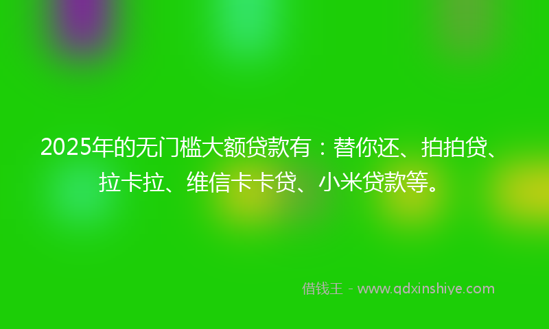 2025年的无门槛大额贷款有：替你还、拍拍贷、拉卡拉、维信卡卡贷、小米贷款等。