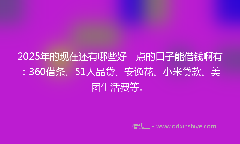 2025年的现在还有哪些好一点的口子能借钱啊有：360借条、51人品贷、安逸花、小米贷款、美团生活费等。