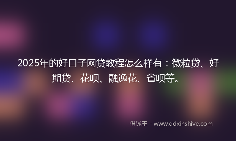 2025年的好口子网贷教程怎么样有：微粒贷、好期贷、花呗、融逸花、省呗等。