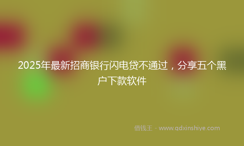 2025年最新招商银行闪电贷不通过，分享五个黑户下款软件