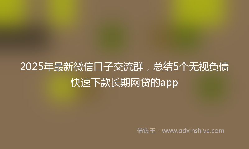 2025年最新微信口子交流群，总结5个无视负债快速下款长期网贷的app