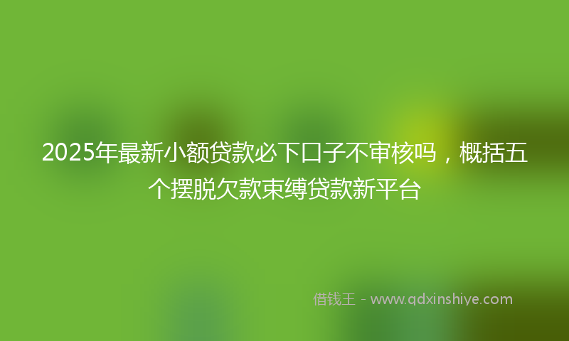 2025年最新小额贷款必下口子不审核吗，概括五个摆脱欠款束缚贷款新平台