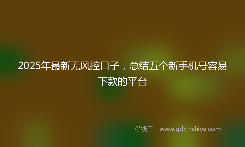 2025年最新无风控口子，总结五个新手机号容易下款的平台