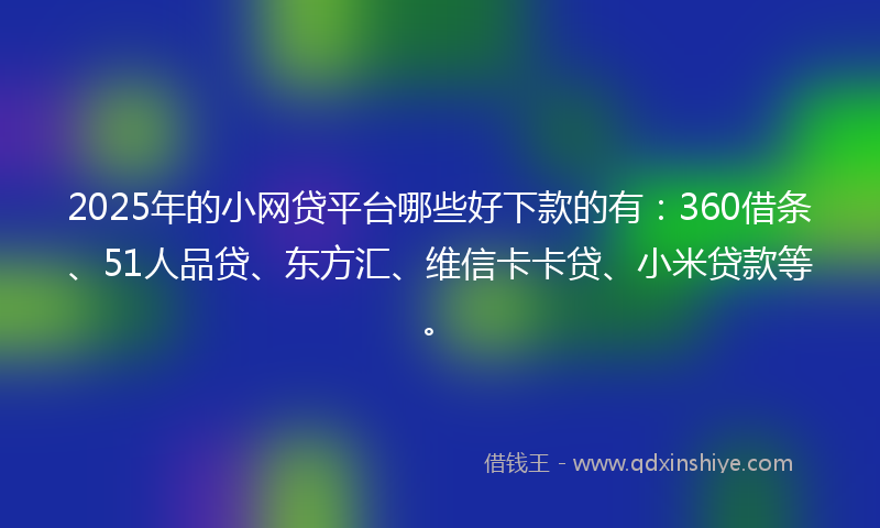 2025年的小网贷平台哪些好下款的有：360借条、51人品贷、东方汇、维信卡卡贷、小米贷款等。