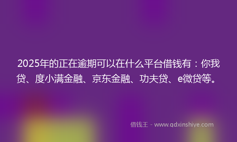2025年的正在逾期可以在什么平台借钱有：你我贷、度小满金融、京东金融、功夫贷、e微贷等。