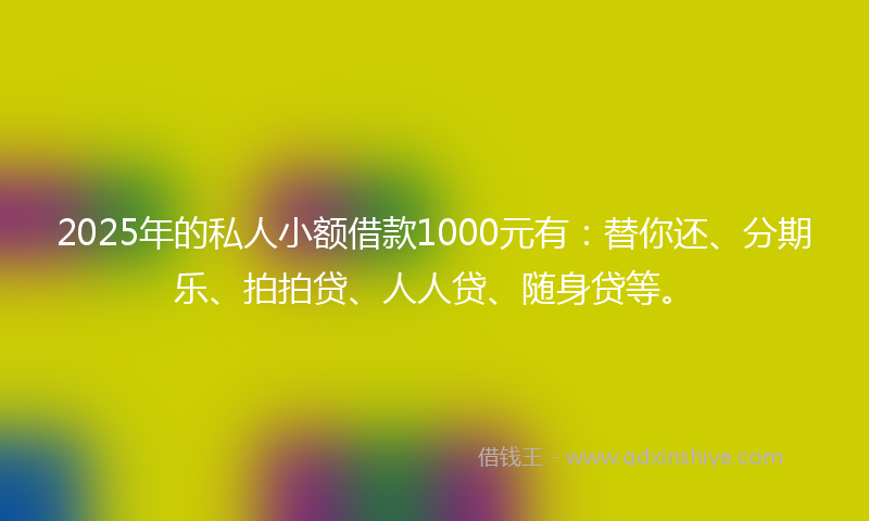2025年的私人小额借款1000元有：替你还、分期乐、拍拍贷、人人贷、随身贷等。
