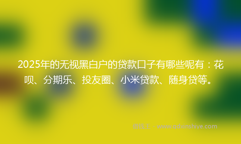2025年的无视黑白户的贷款口子有哪些呢有：花呗、分期乐、投友圈、小米贷款、随身贷等。