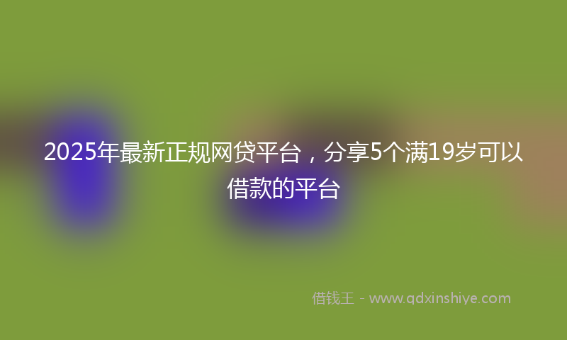 2025年最新正规网贷平台，分享5个满19岁可以借款的平台