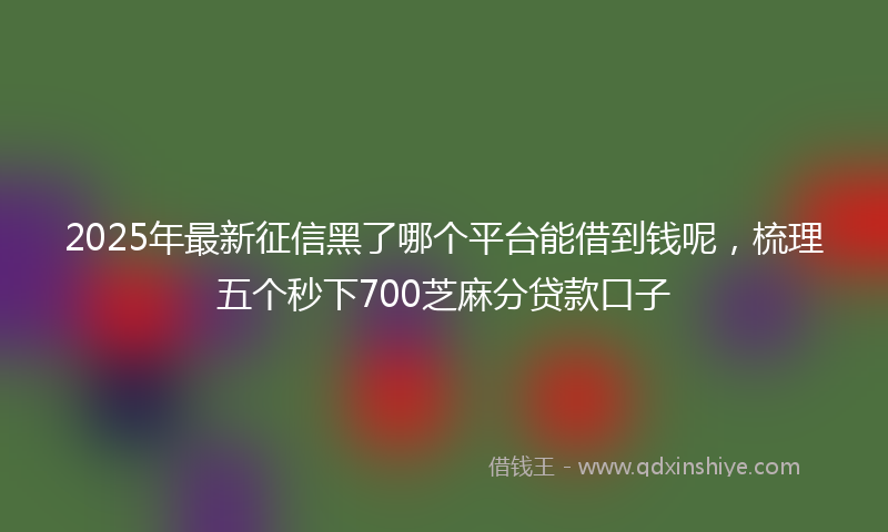 2025年最新征信黑了哪个平台能借到钱呢，梳理五个秒下700芝麻分贷款口子