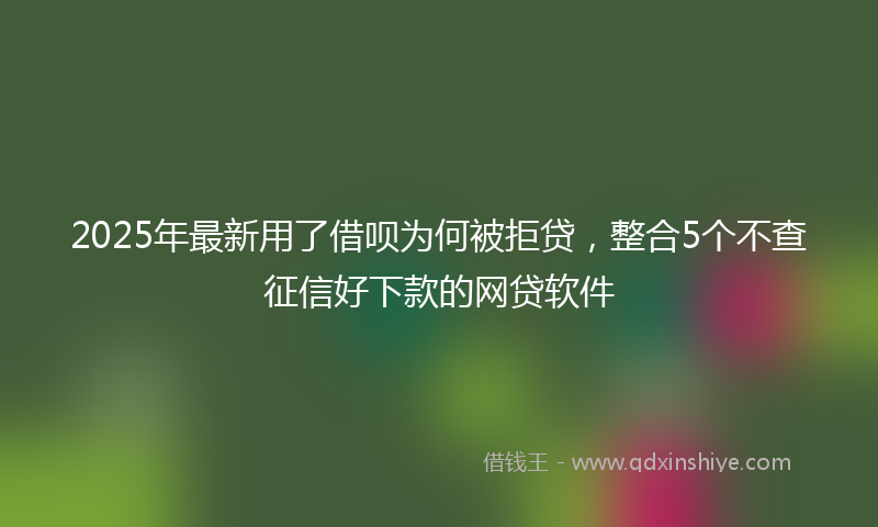 2025年最新用了借呗为何被拒贷，整合5个不查征信好下款的网贷软件